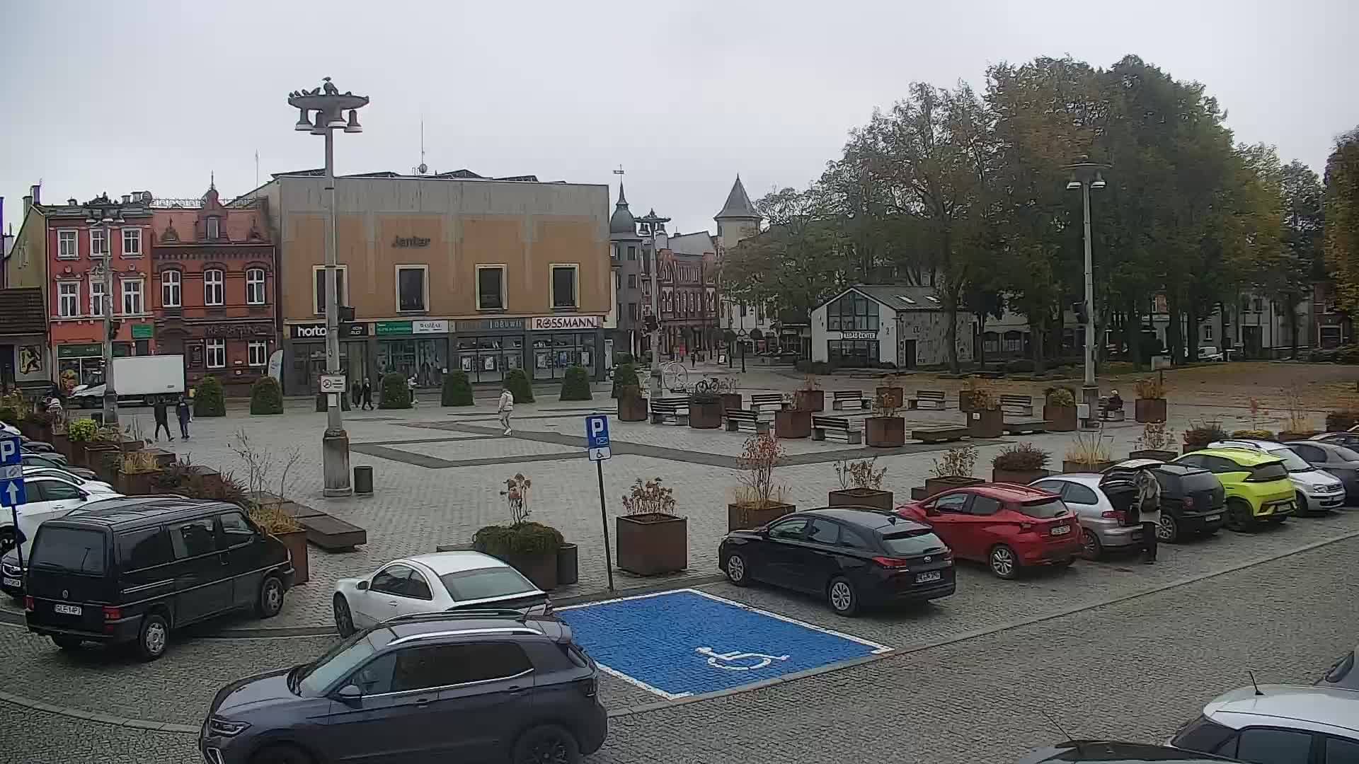 Lębork canlı
